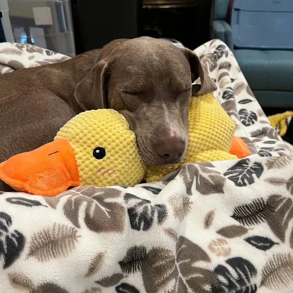 Jouet pour chien en forme de canard apaisant