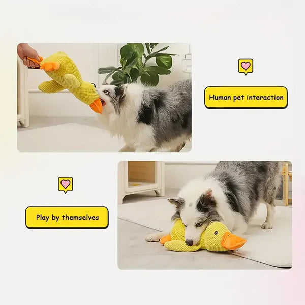 Jouet pour chien en forme de canard apaisant