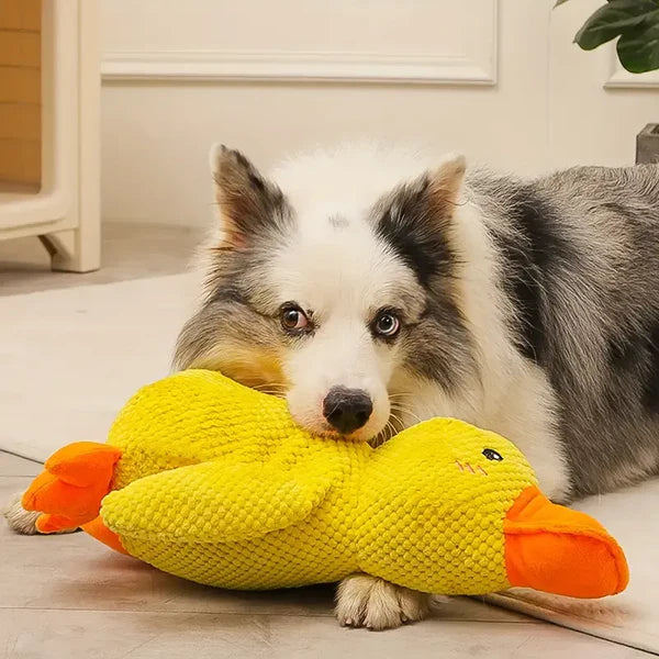 Jouet pour chien en forme de canard apaisant