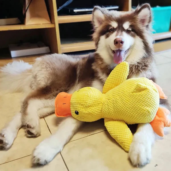 Jouet pour chien en forme de canard apaisant