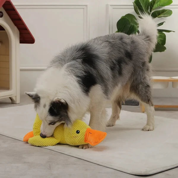 Jouet pour chien en forme de canard apaisant