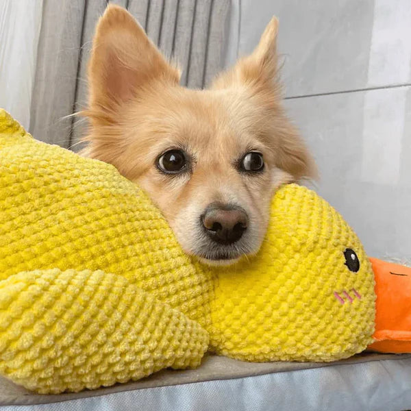 Jouet pour chien en forme de canard apaisant