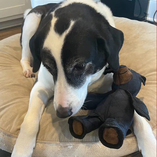 Jouets pour chiens en forme d'ours indestructibles et interactifs pour les chiens qui mâchent fortement - IndestructiOurs 2.0